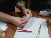 IMG-20200204-WA0036.jpg
